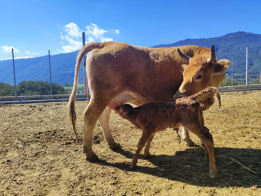 Μια νέα καταγραφή ξεκινά από ένα πραγματικό γεγονός.